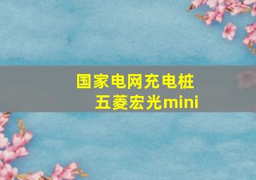 国家电网充电桩 五菱宏光mini